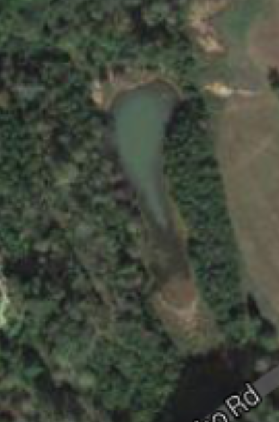 Attached picture 2 acre pond aerial view - before.png
